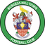 Burgess Hill Town crest